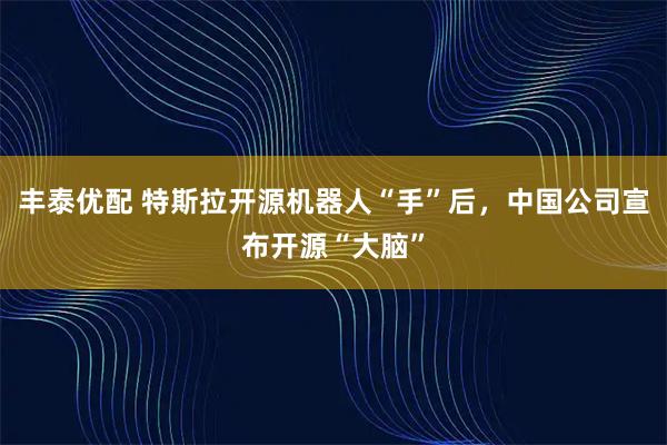 丰泰优配 特斯拉开源机器人“手”后，中国公司宣布开源“大脑”